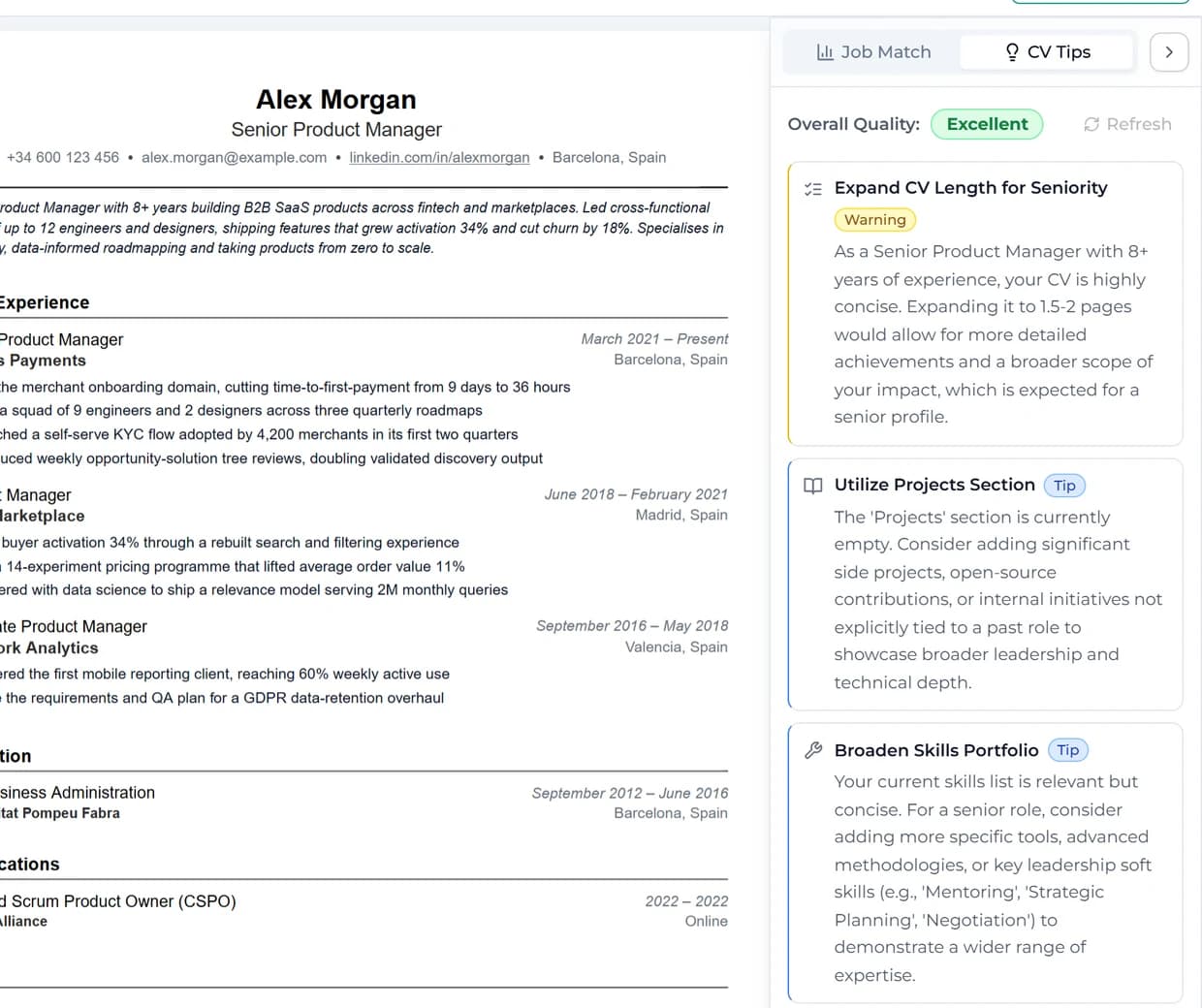 A dedicated panel reviews your whole resume and flags what to improve, beyond any single job.