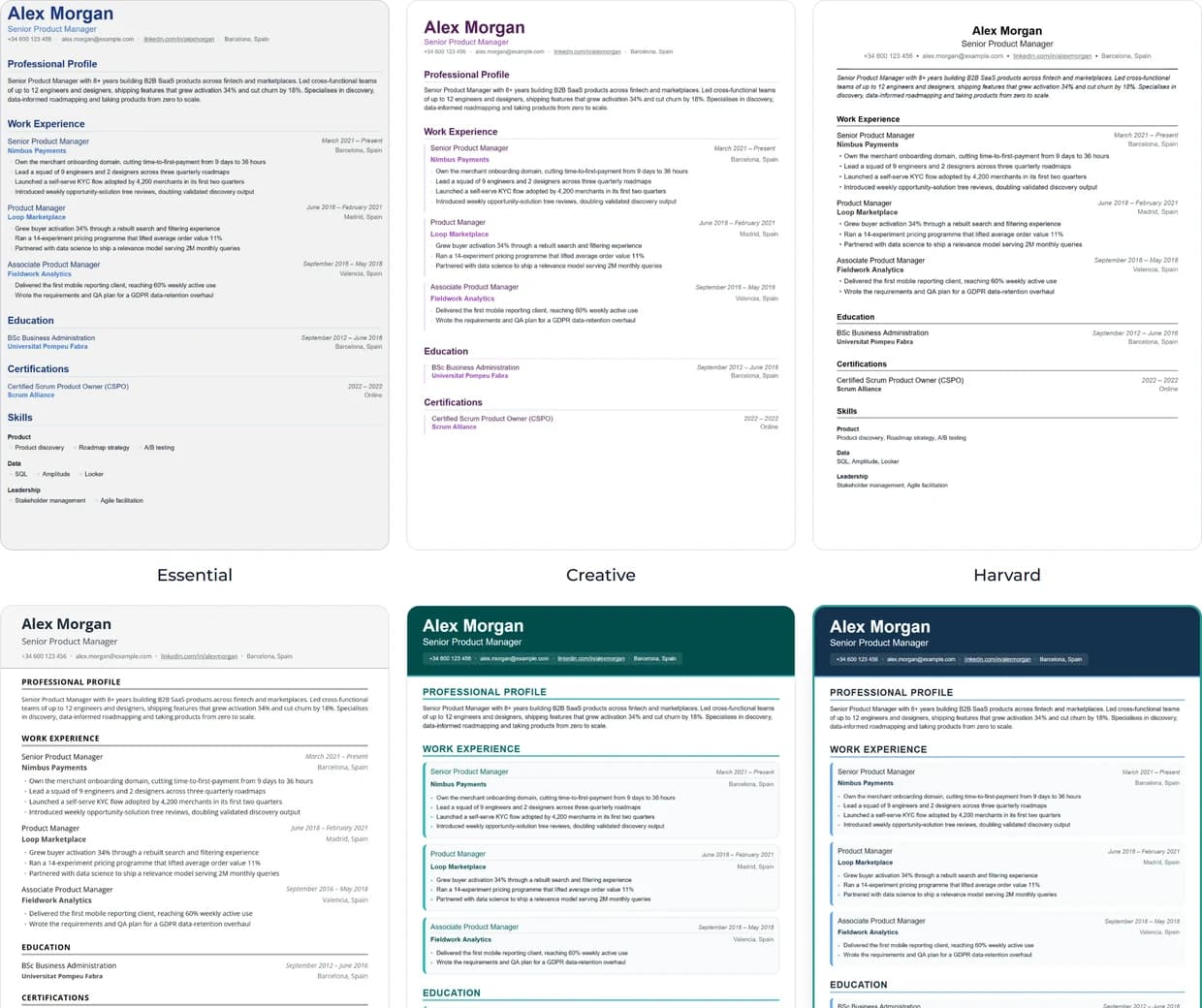 Essential, Harvard, Corporate, Creative, European and Executive, all previewed with your own content.
